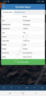 Bursa Osmangazi Selçukgazi Köyünde 10593 M2 Kelepir Kıymetlı Arazi