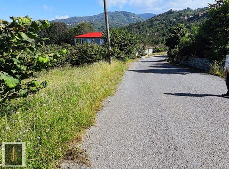Riva Gymdn Arsin Yeni Mah Sahile 3.5 Km Mesafede Arazi