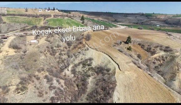 Tokat Erbaa Koçak Yolunda 7633 M2 Bağ Tarla