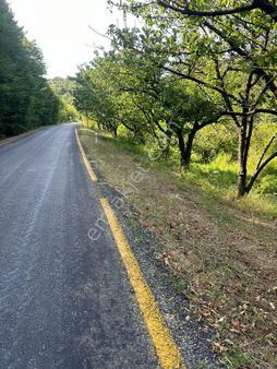 Lapseki Beyçayır Köyünde Satılık Hobi Bahçesi