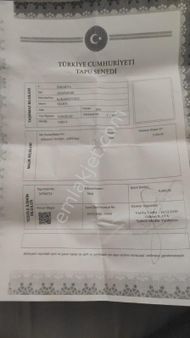 Sakarya Adapazarı Karadavutlu Köyü Satlık Tarla