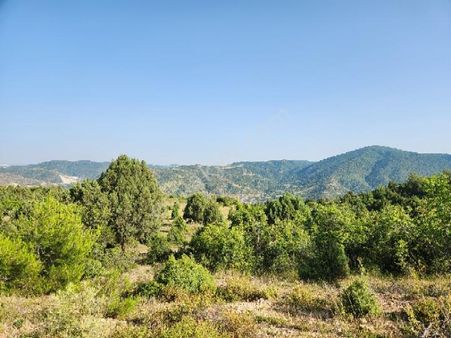 Bılecık Merkez Bekdemır 5698 M2 Tarla Sadece 460 Bin Tl Köy Manzaralı