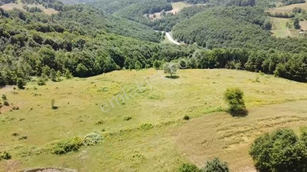 Bılecık Merkez Kavaklı Köyünde 14.475 M2 Tarla