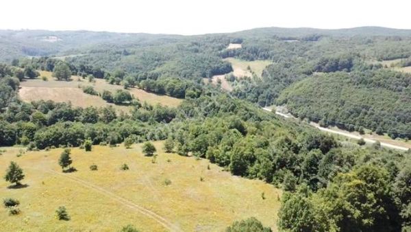 Bılecık Merkez Kavaklı Koyunde 16.763 M2 Tarla