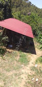 Emlâk Dünyası Portföyde Karacasu Satılık