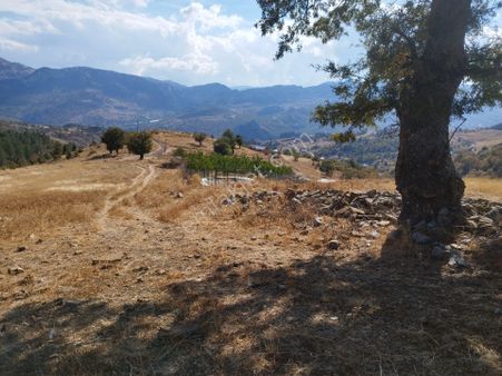 Alanya Özvadi Yaylası'nda Acil Satılık Tarla