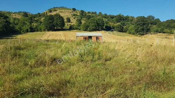 Kocaeli Karamürsel Kızderbent'de Satılık 726 M2 Arsa Ve Ahşap Ev