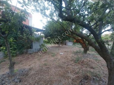 İzmir Bornova Beşyol Mah. 2249 M2 Üzerine Satılık Müstakil Ev Ve Meyve Bahçesi