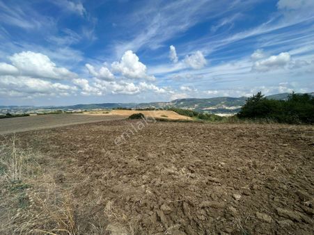 Kocaeli Karamürsel Yalakdere'de 5308 M2 Satılık Tarla