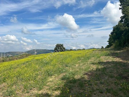 Kocaeli Karamürsel Yalakdere'de 5554 M2 Satılık Tarla