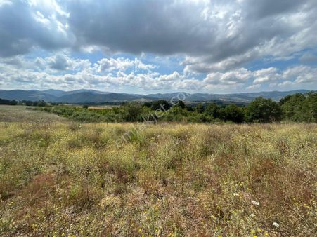 Kocaeli Karamürsel Yalakdere'de 10031 M2 Satılık Tarla