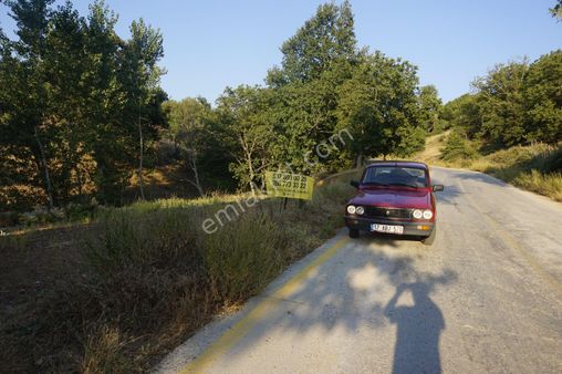 Çanakkale Bayramiç Serhat Köyü 592 M2 % 80 İmarlı Arsa