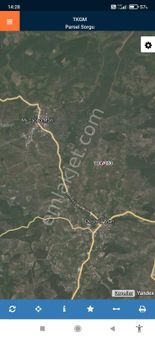 Bursa Mudanya Dereköy'de Satılık Zeytinlik