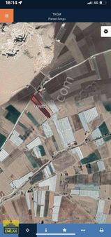 Korkuteli Kozğacı Mahallesinde.5.500.metrekare