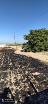 Babacandan Akpınar Köyünde Satılık Kupon Fıstıklık