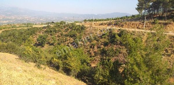 Emlak Dünyası Karacasu Şubesi Portföyde