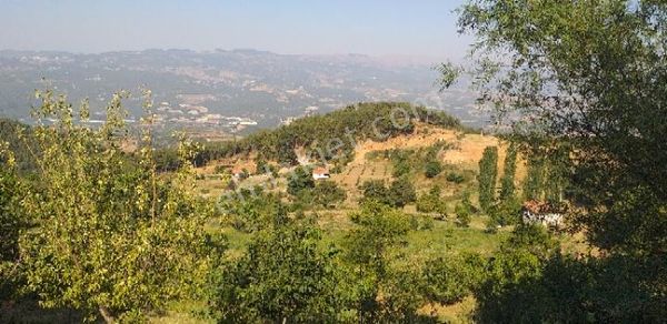 Emlak Dünyası Karacasu Şubesi