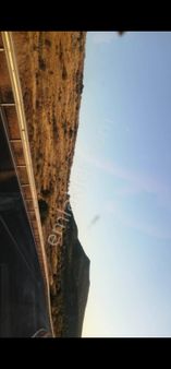 Foça Hacılimanında Satılık 20 Dönüm Zeytinli Tarla