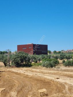 Çanakkale Han Emlak'tan Tevfikiye Köyünde Satılık 889 M2 Bağ