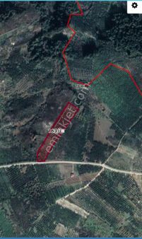 Ena Group Bursa Mudanya Çepni'de Asfalta Cephe 14443 M2 Bahçe