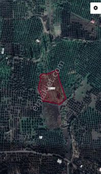 Enagroup Bursa Mudanya Göynüklü'de Satılık 6850 M2 Arazi