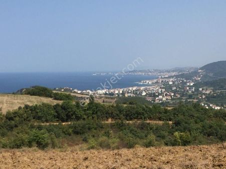 Satılık Yalova Çınarcık Senkoyde Villa İmarli Arsa