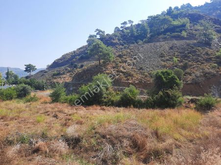 Mugla Ortaca Da 768 M2 % 30 2 Kat İmarlı Arsa Satılık