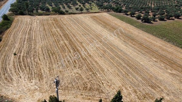 Foca Izmır Yoluna Cephelı Satılık 22 Dönüm Tarla (50.00.000 Tl)