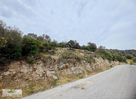 Dikili Çandarlı'da 4 Adet İmarlı Satılık Kupon Arsa