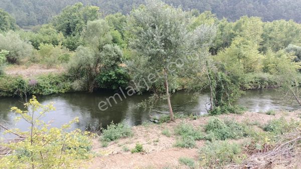 Bursa Mustafakemalpaşa Kestelek Mahallesi Satılık 1 Dönüm Dere Kenarı Tarla