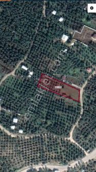 Ena Group Bursa Mudanya Çepni Düzbağlar'da Satılık 2110 M2 Bahçe