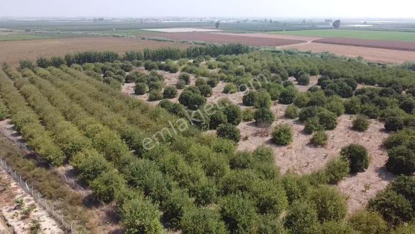 Bağlarbaşı Mevkii 22.500 M2 Harika Konum Bahçe