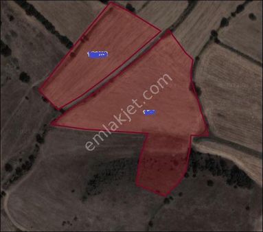 İstanbul-bursa- Balıkesir İzmir Yolu Şehir Mrkz Susurluk Emin Pınara Köyünde Köye Yakın