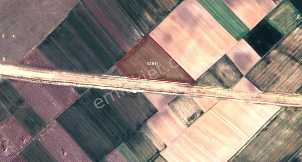 Tarım Hayvan Besiciliği Veya Yatırım Yapmak Mı İstiyorsunuz ?