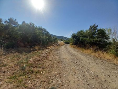 Asil Emlaktan Satılık Bahçe