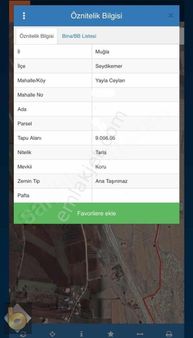 Seydıkemer Yayla Ceylanda 9 Dönüm Tarla