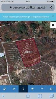 Niğde Tepede Sit Alanında Kupon Bahçe