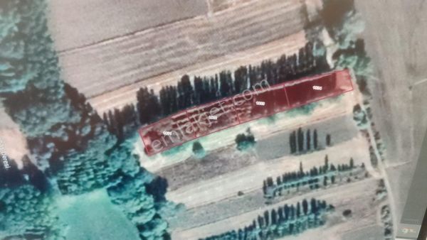 Yozhat Sorgun Aşşağı Cumafakılı Satılık Hobi Bahceleri