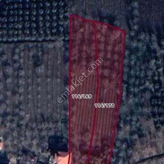 Bursa Osmangazi Karabalçık Mhde Satılık Fırsat Yatırımlık Tarla