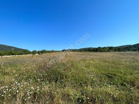 Kocaeli Karamürsel Akçat'da 3031 M2 %5 İmarlı Satılık Tarla