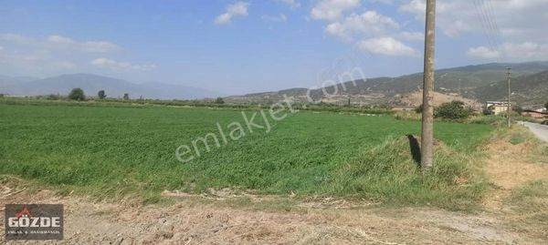 Nazilli Hamidiye Ovasında Satılık Satılık Tarla