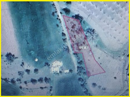 Alihan G.m.den Yemişlik Köyü---bahçelik 200 M2 Hisseli ---satılık Tarla