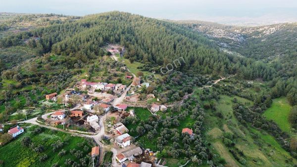 Milas Çamovalıda Eşsiz Konumda Doğa Manzaralı Satılık Çiftlik Ev