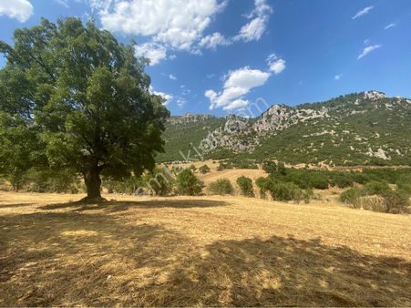 Burdur Ağlasun Hisarköy Satılık Yatırımlık Arazi 📌çakır Emlak