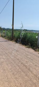 Ayvalık Küçükköy Tuzla Mevkiinde 11.300 M² Zeytinlik – Kaçırılmayacak Fırsat! 🌿🌊