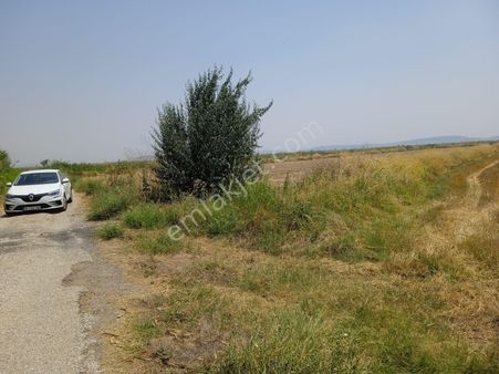 İzmir Foça Yenibaşarasın Da Satılık Tarla