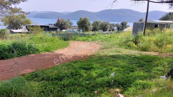 Muğla Gökova Körfezi Çınar Beach Yanında, Deniz Kenarında ,122.m2 Tarla