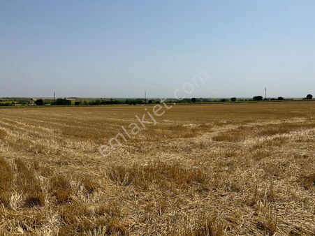 Dolhan Köyü 21493 M2 Resmi Yolu Olan Asfalta Köye Yakın Satılık Tarla