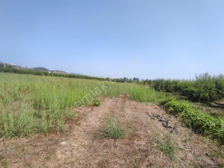 Bilge Gayrimenkulden Satılık Abdurrahmanlarda Tarla