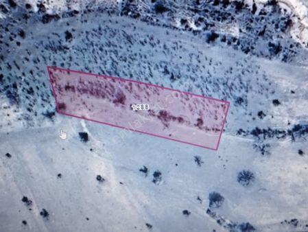 Alihan G.m.den Hüseynik F.sekin Ş.hast.ne Yakın Yolsuz Satılık Tarla